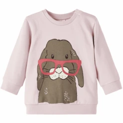 Name It Sweatshirt Nbfnetane Burnished Lilac