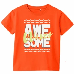 Name It T-Shirt Nmmvagno Flame